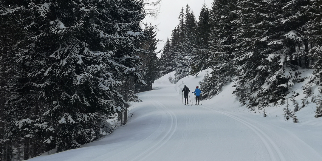Bežkovanie vo Wechsel Panoramaloipe: Wechsel Panoramaloipe má desiatky kilometrov upravených tratí na oba štýly bežeckého lyžovania