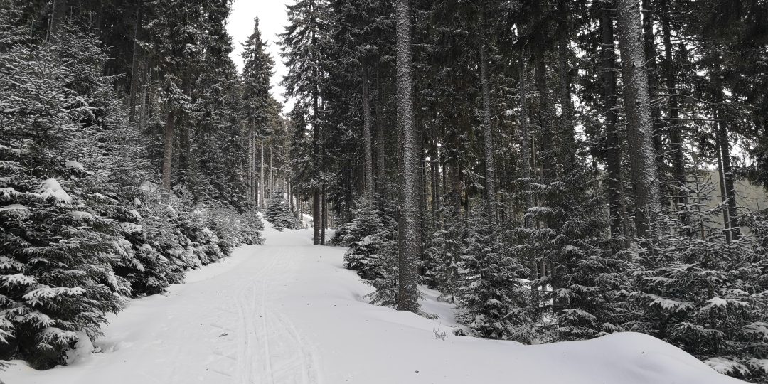 Čerstvý sneh vo Wechsel Panoramaloipe