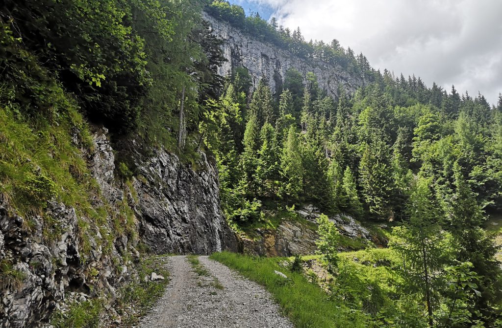 Kamenistá cesta v úseku medzi Pichl a jazerom Seewaldsee