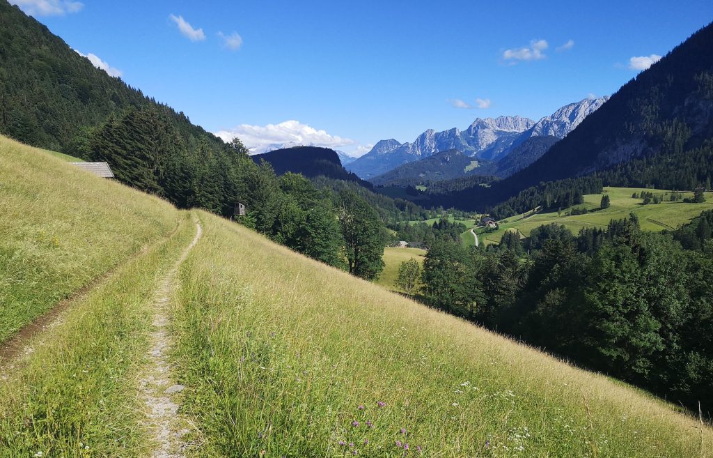Na Seewaldsee Runde si užijete asfaltové cesty, lúky i lesné chodníky