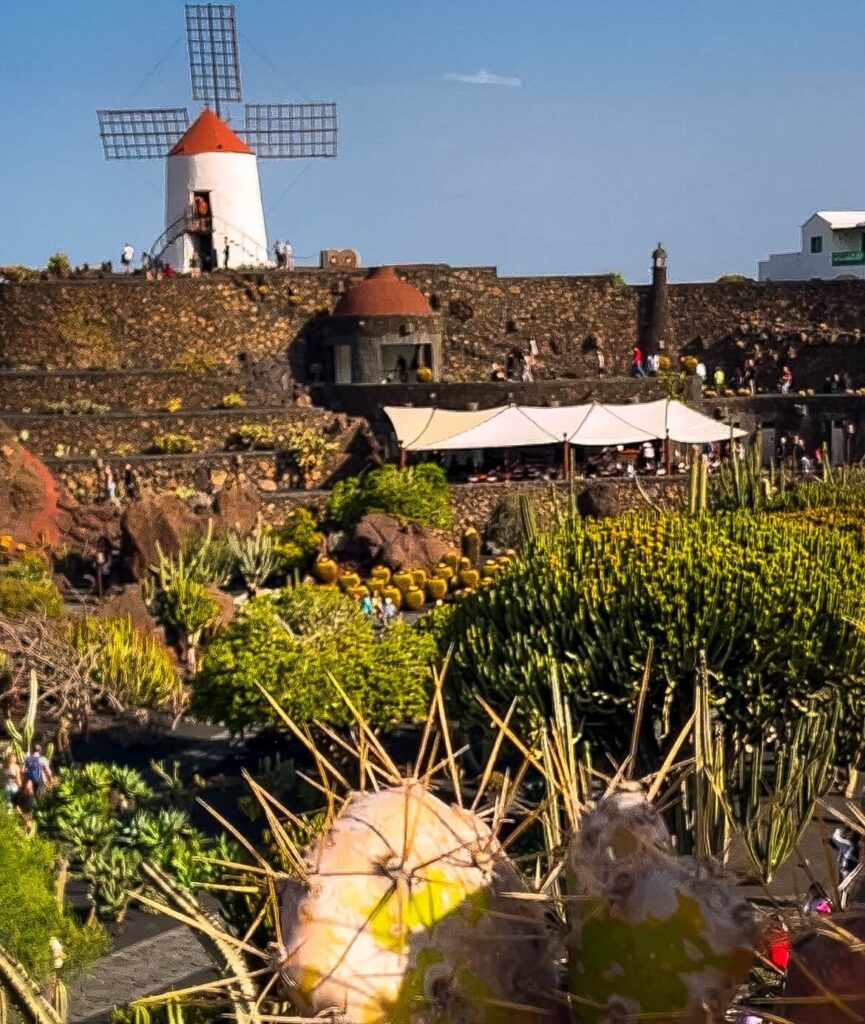 Kaktusová záhrada na Lanzarote