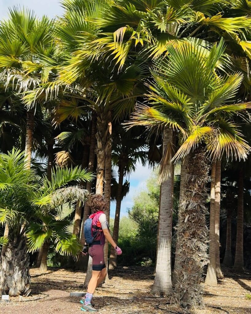 Botanická záhrada Gran Canaria